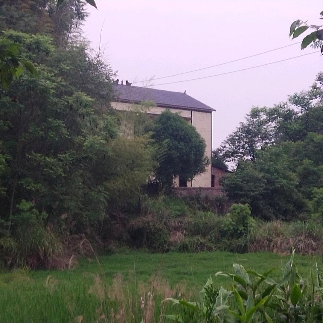 甜蜜蜜的糖