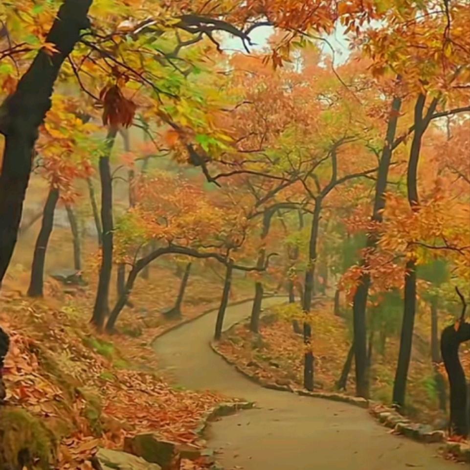小人物