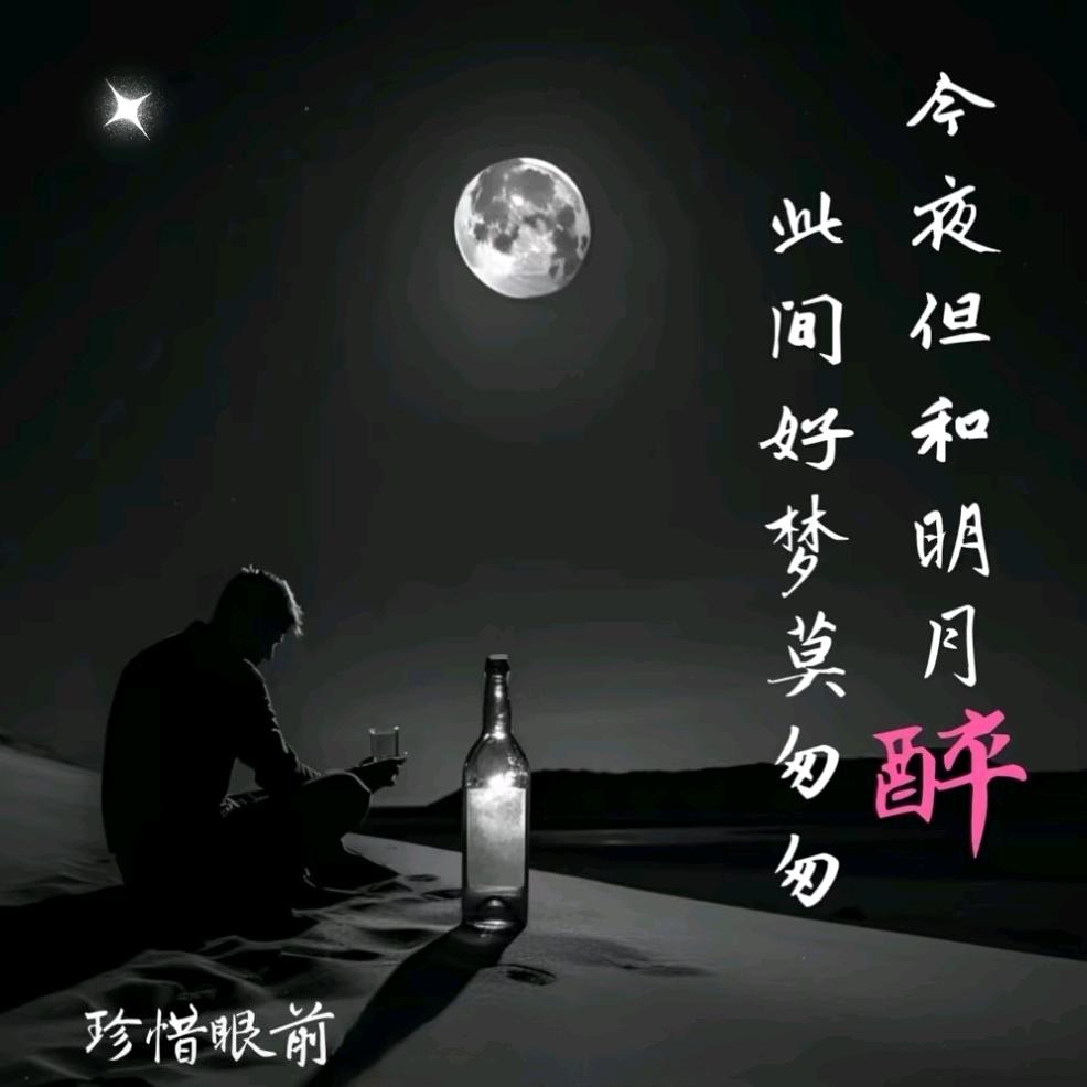 ༄༊࿆浪迹天涯ོྂཾ࿆࿐