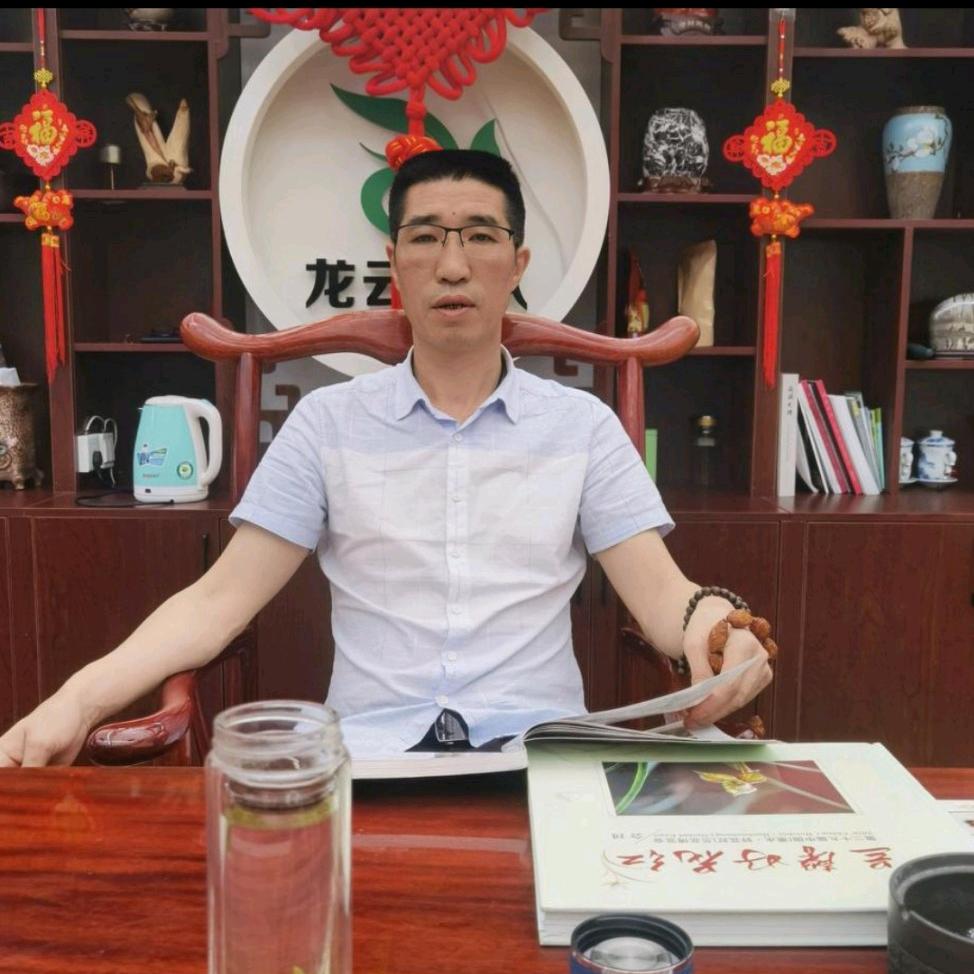 龙云团队