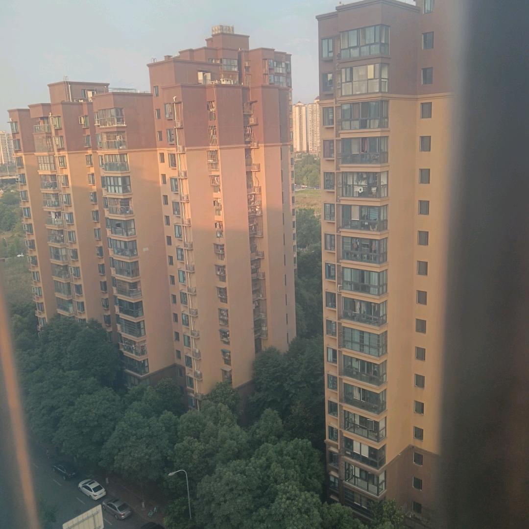 退出江湖