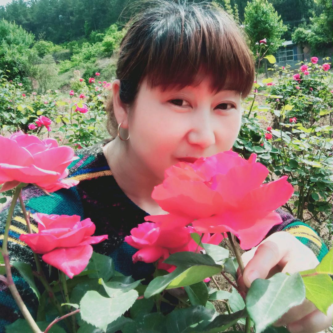 淡淡的回忆
