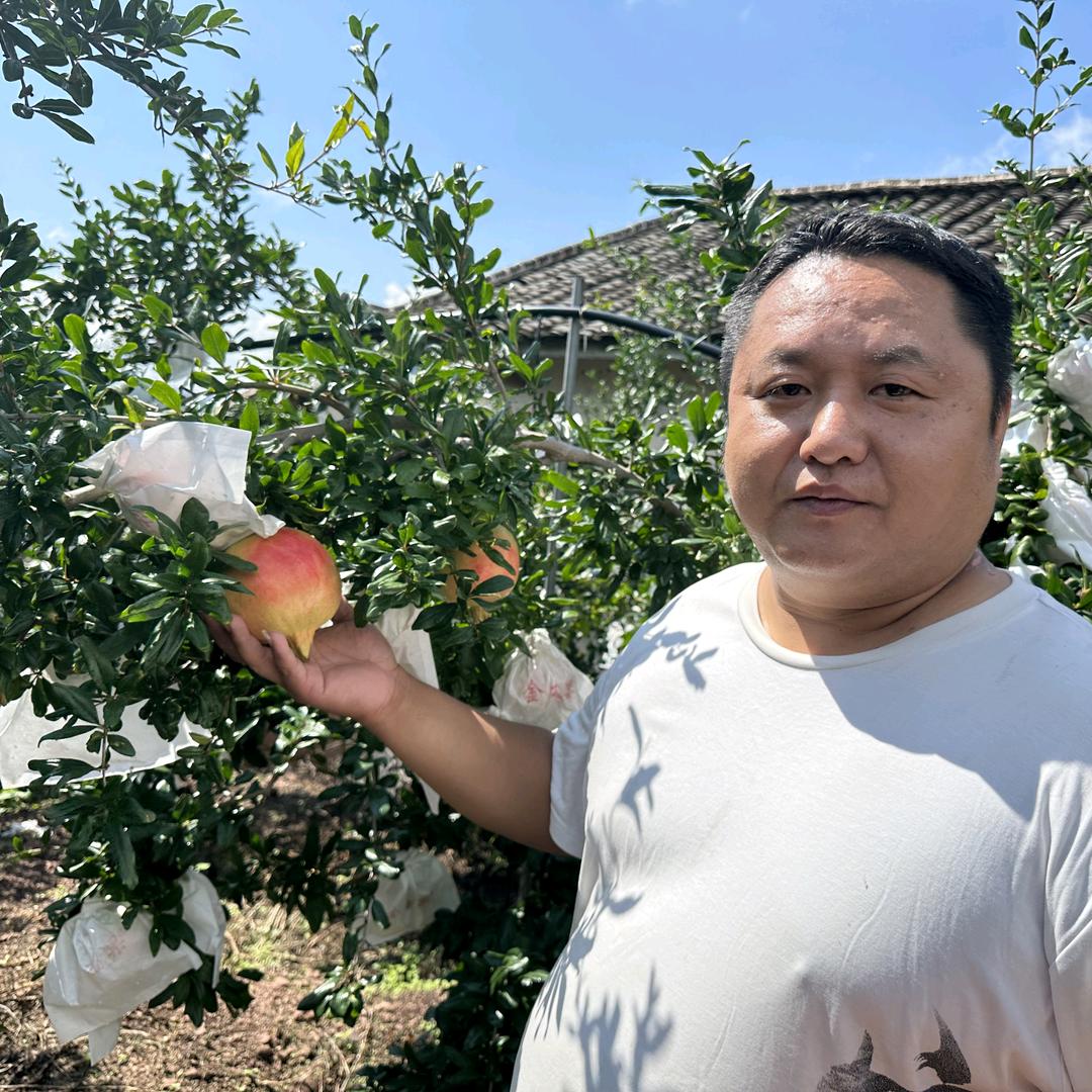 ꧔ꦿ࿐้熊鹰不李垂枝💕 ❧⁵²⁰