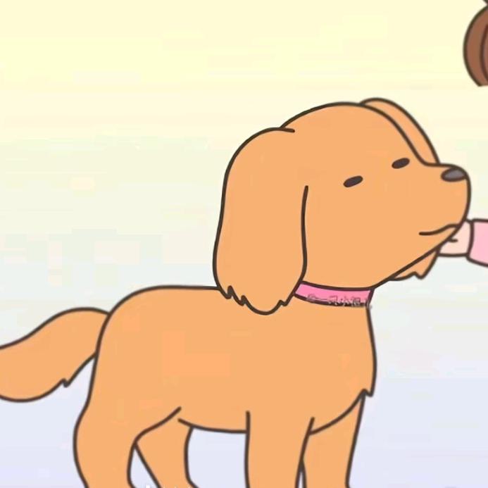 金毛小公子（金毛犬舍）