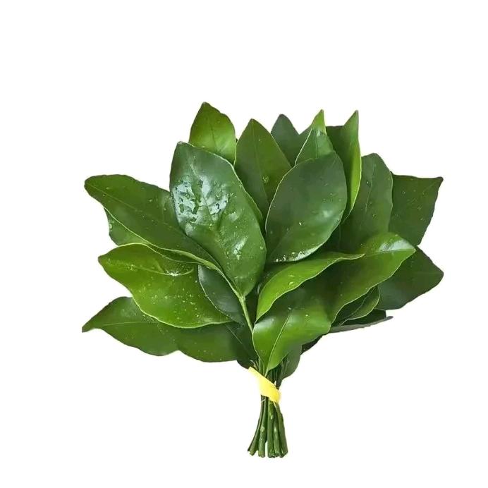 南淮