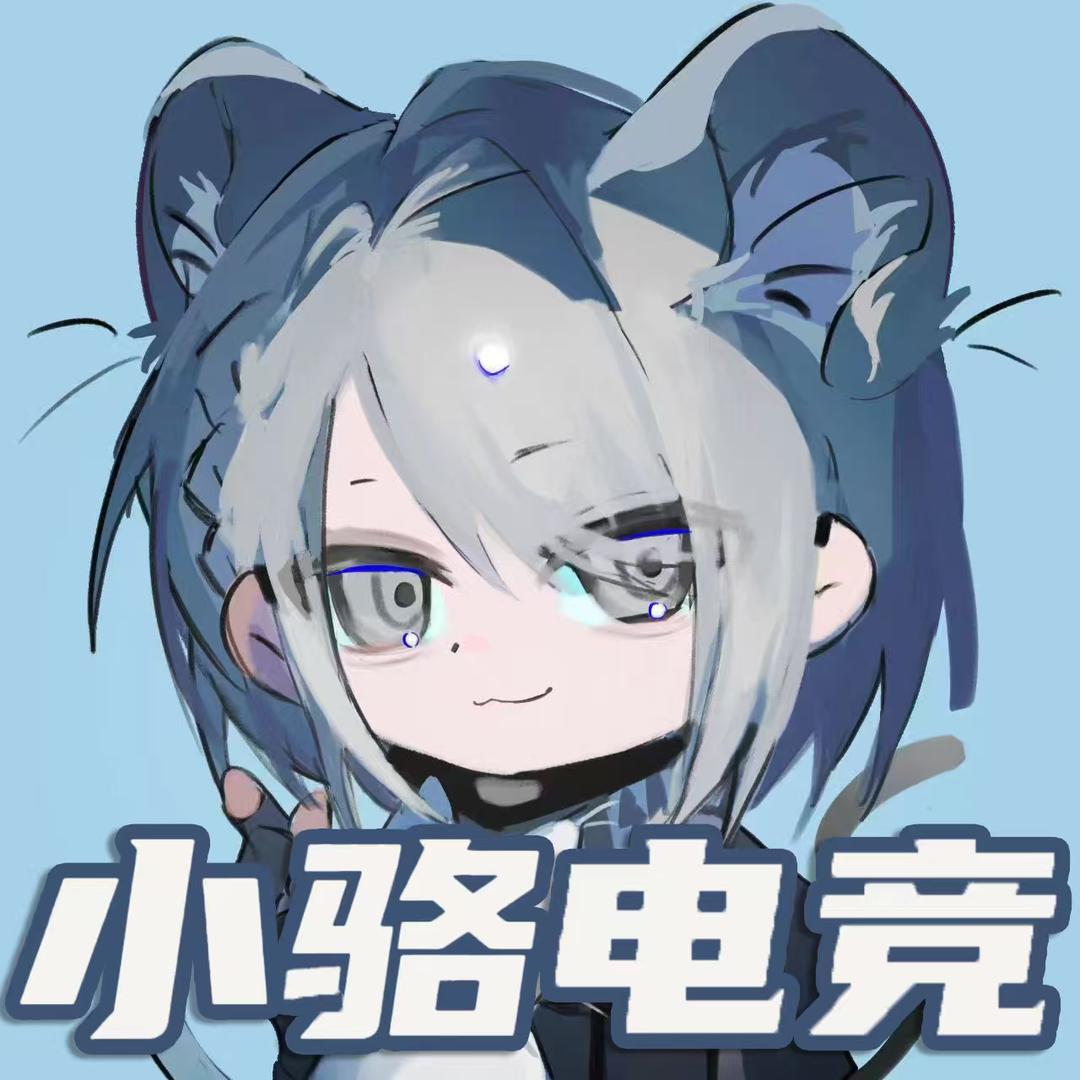 小骆电竞