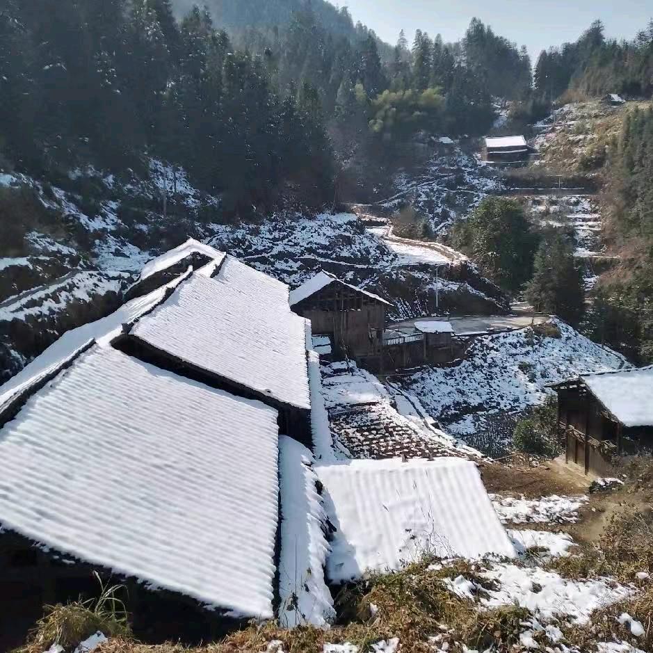 你的