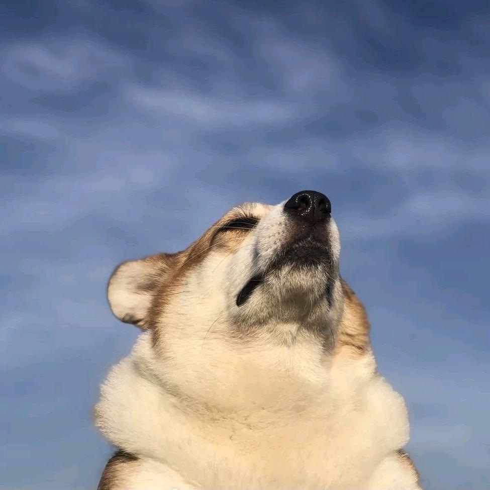 许愿上上签啊