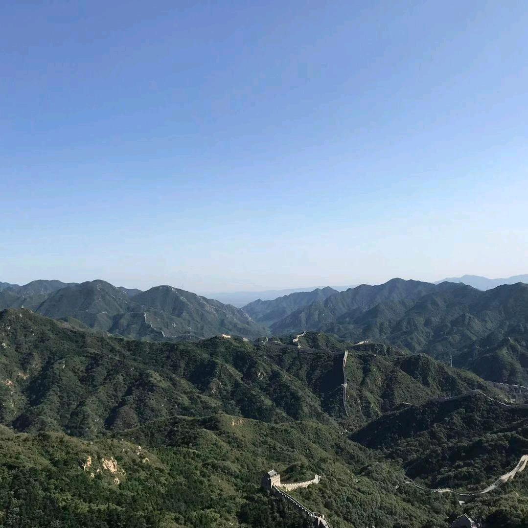 新谷生鲜