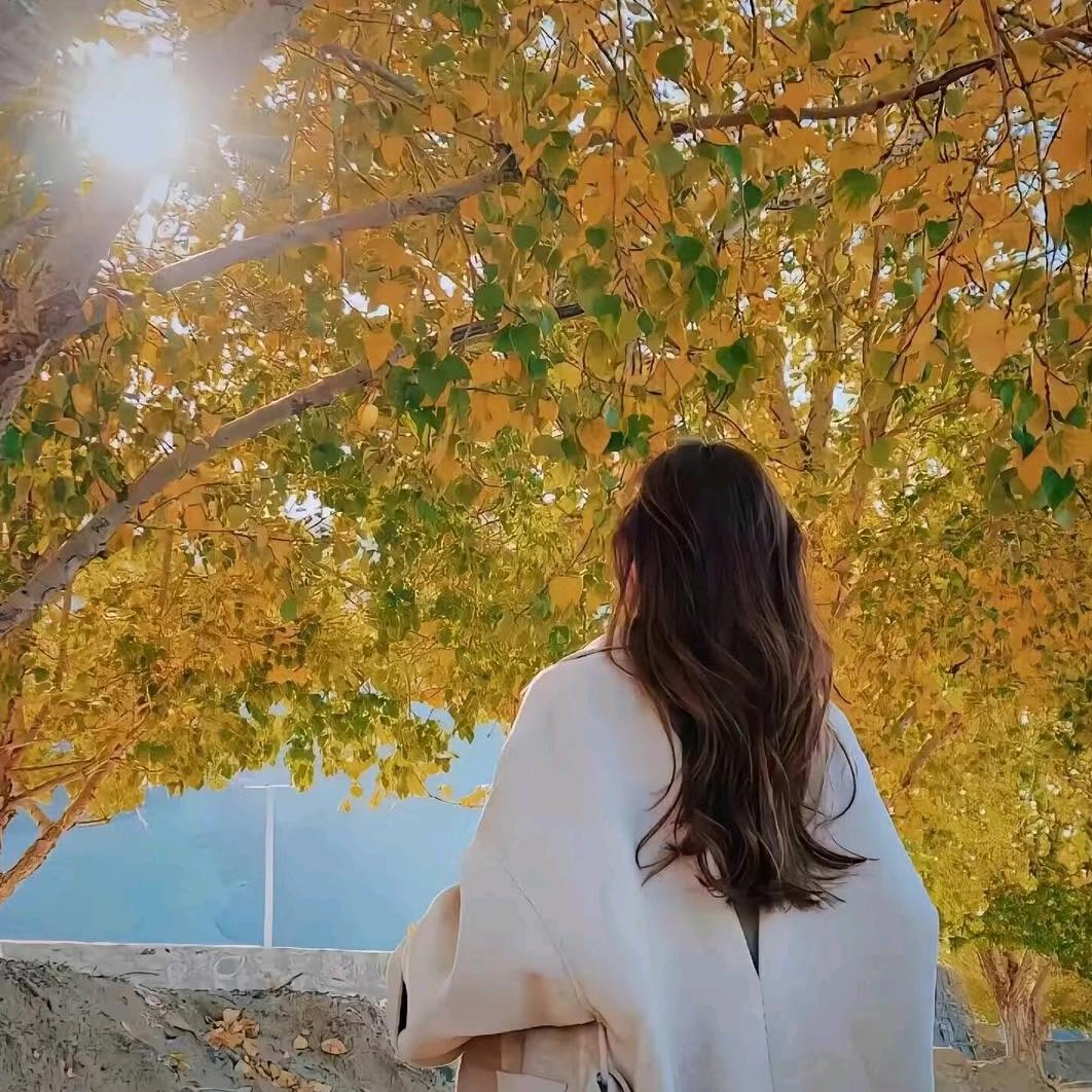 duo 米 锦鲤耳钉