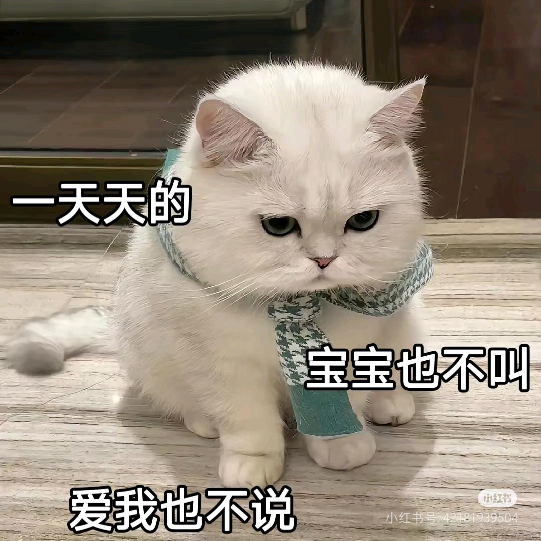 里布里