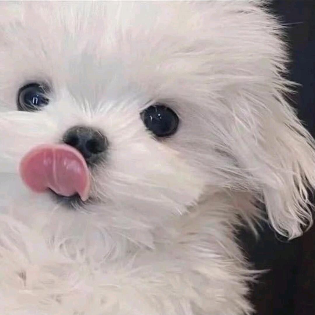 王小软
