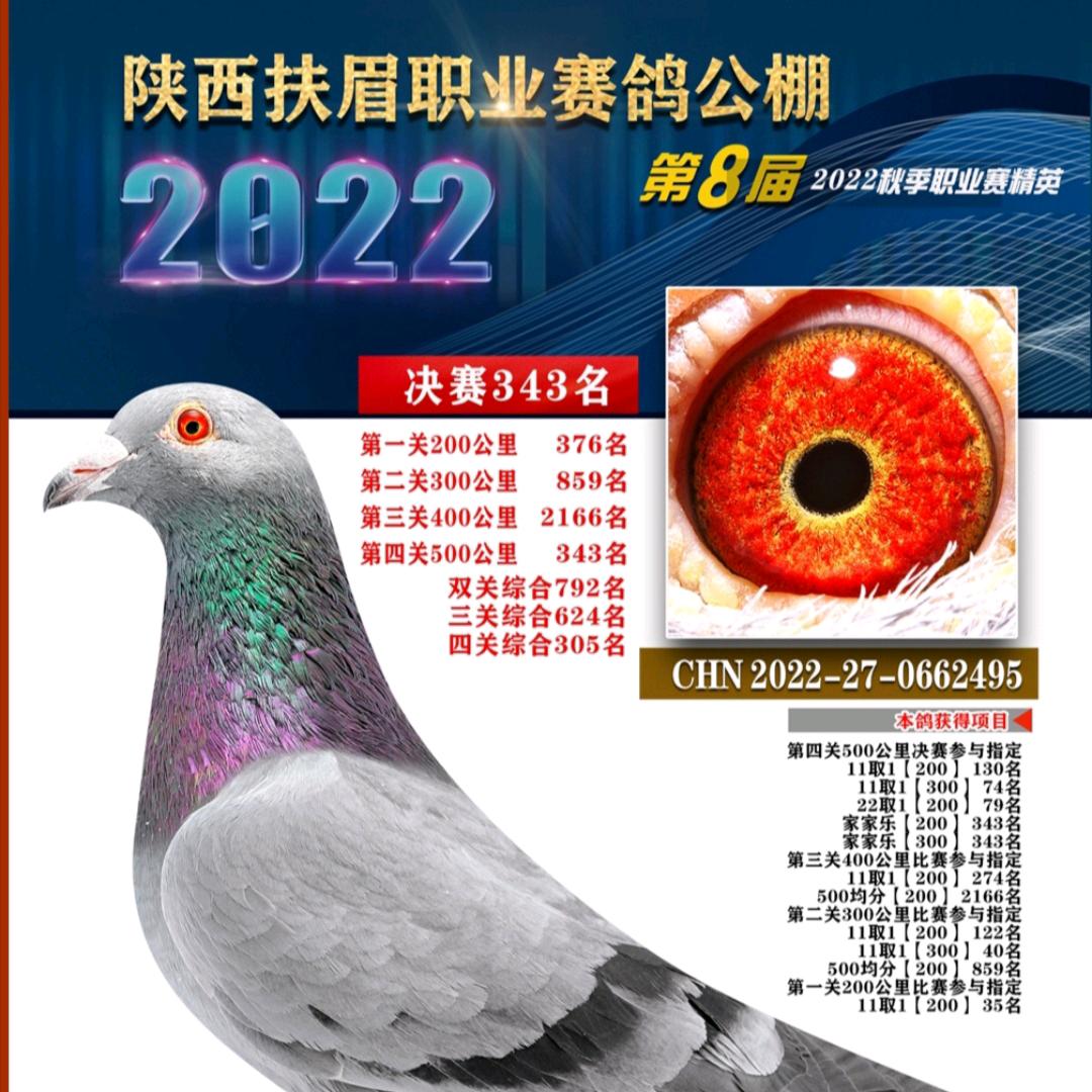 长毛龙龙🐉