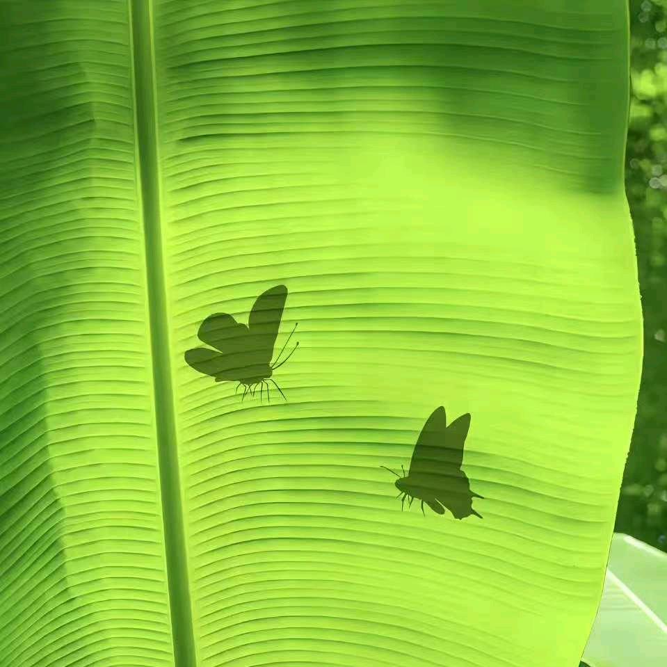你爱我像谁(๑òᆺó๑)