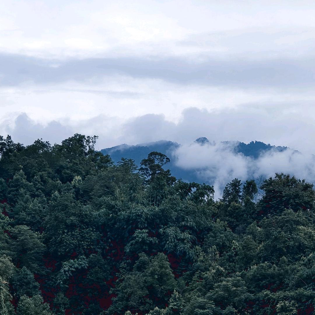 阿哲在旅行