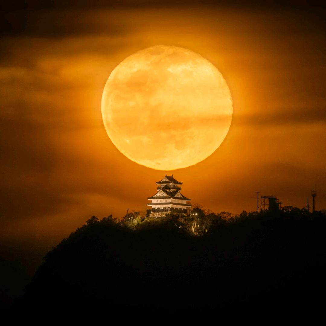 觉得自己差点与众不同