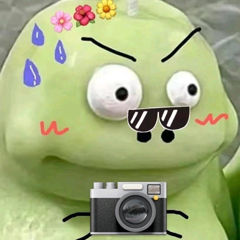 红烧绿恐龙📷