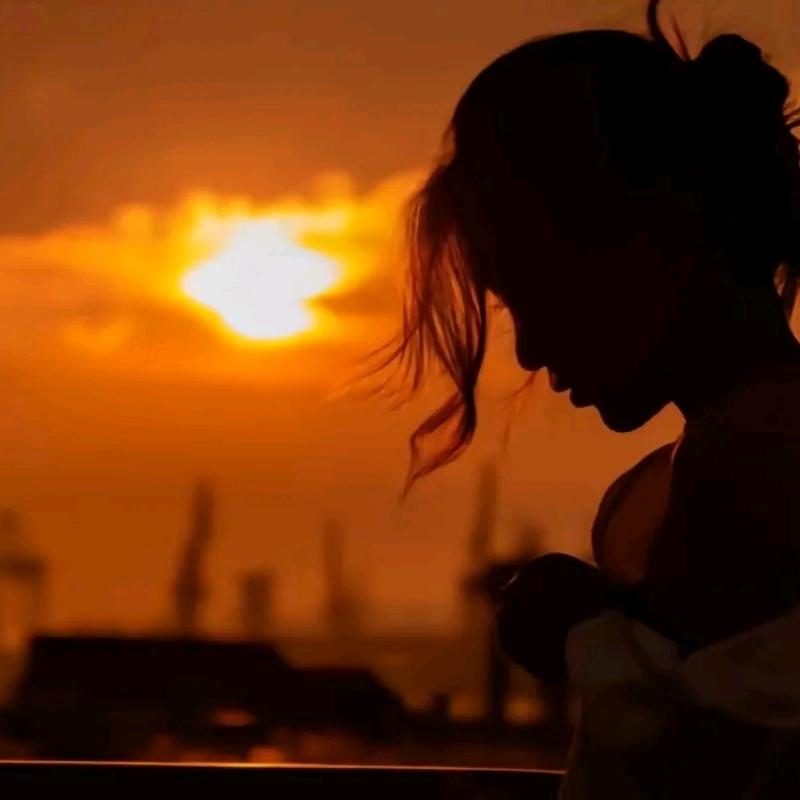 西域精选干果店