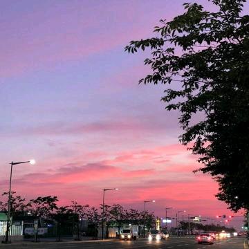 双鸿建筑