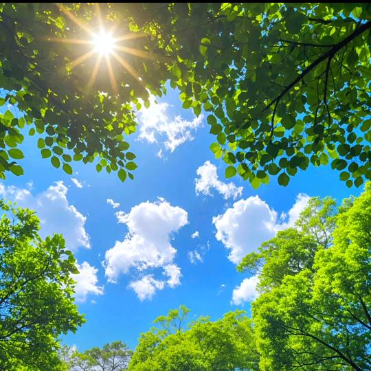 💞ঞ᭄心想事橙໊ഒᩚ࿐