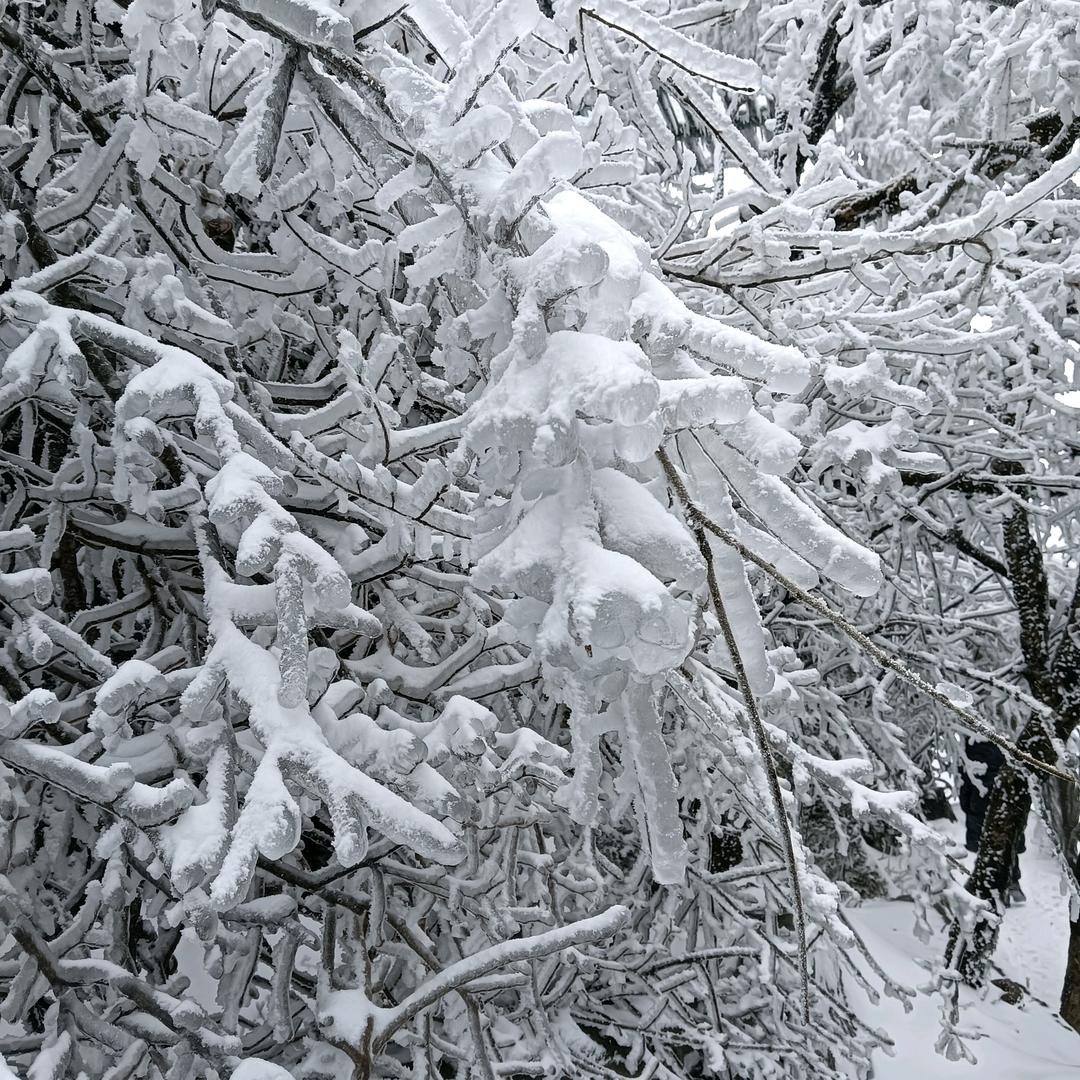 艳子user8485461167