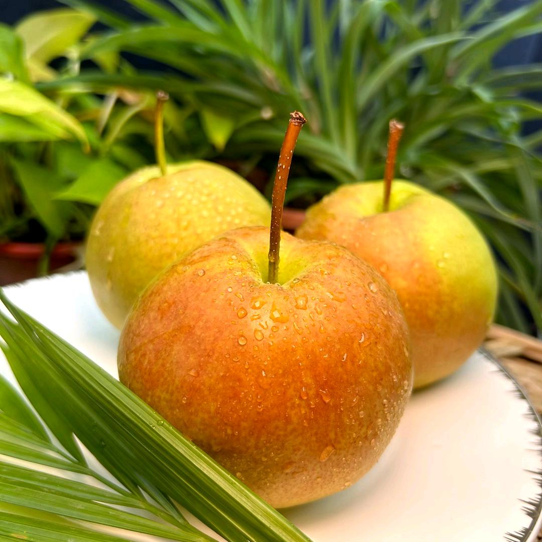 隰县小西天《莲姐》