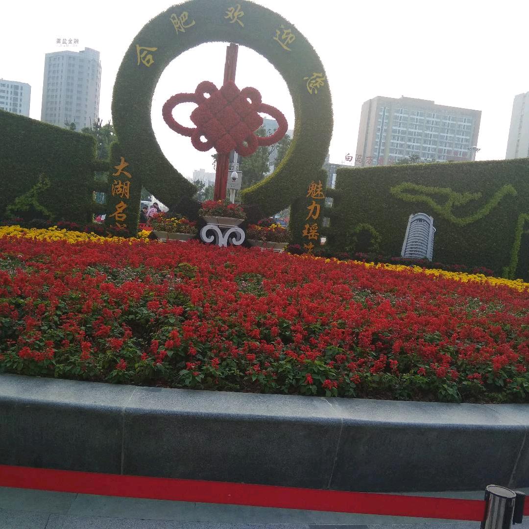 用户173886233301同路人