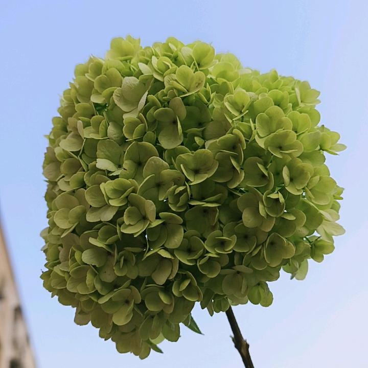 昵称而已
