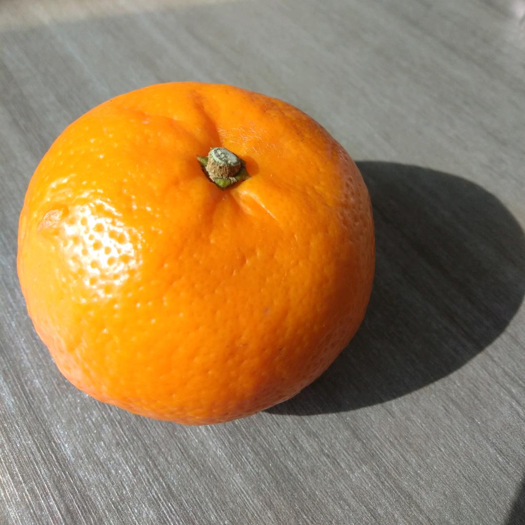 新乡宏耀商贸有限责任公司