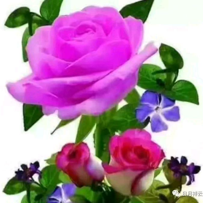 李绍芬