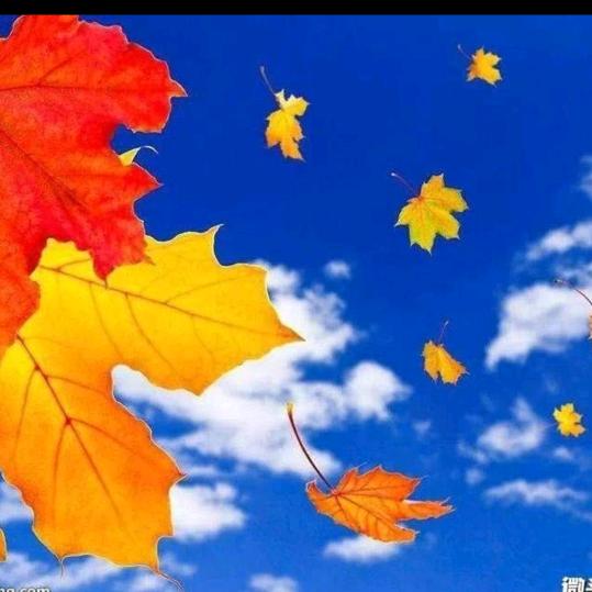 骏马奔 驰6472048386272