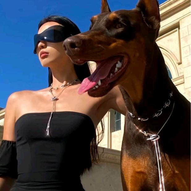 发呆的小懒猫🐱