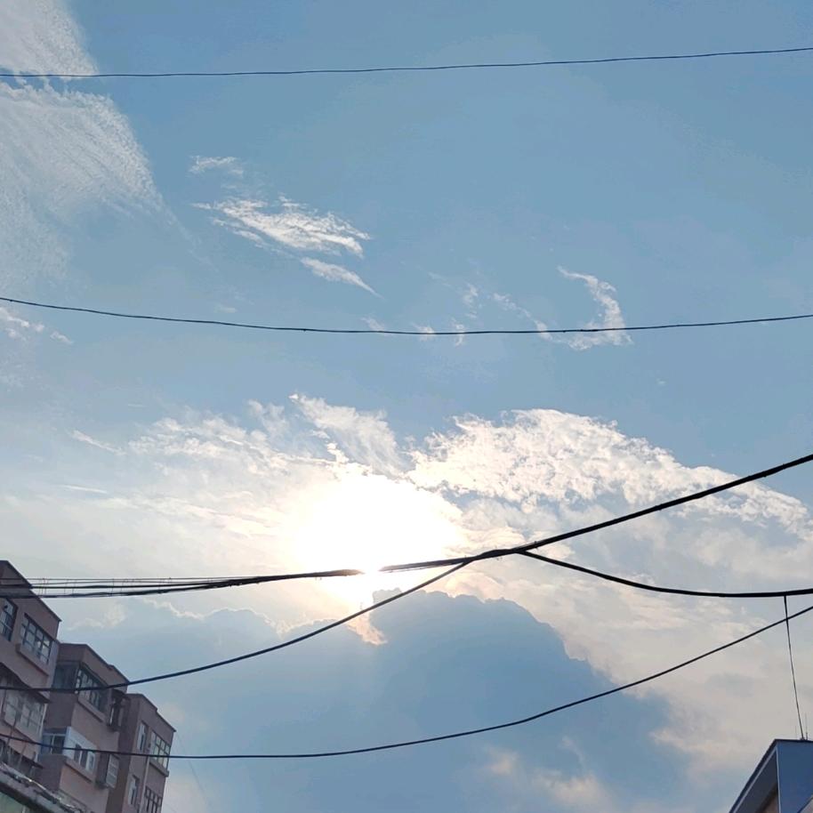 濮阳电动车批发