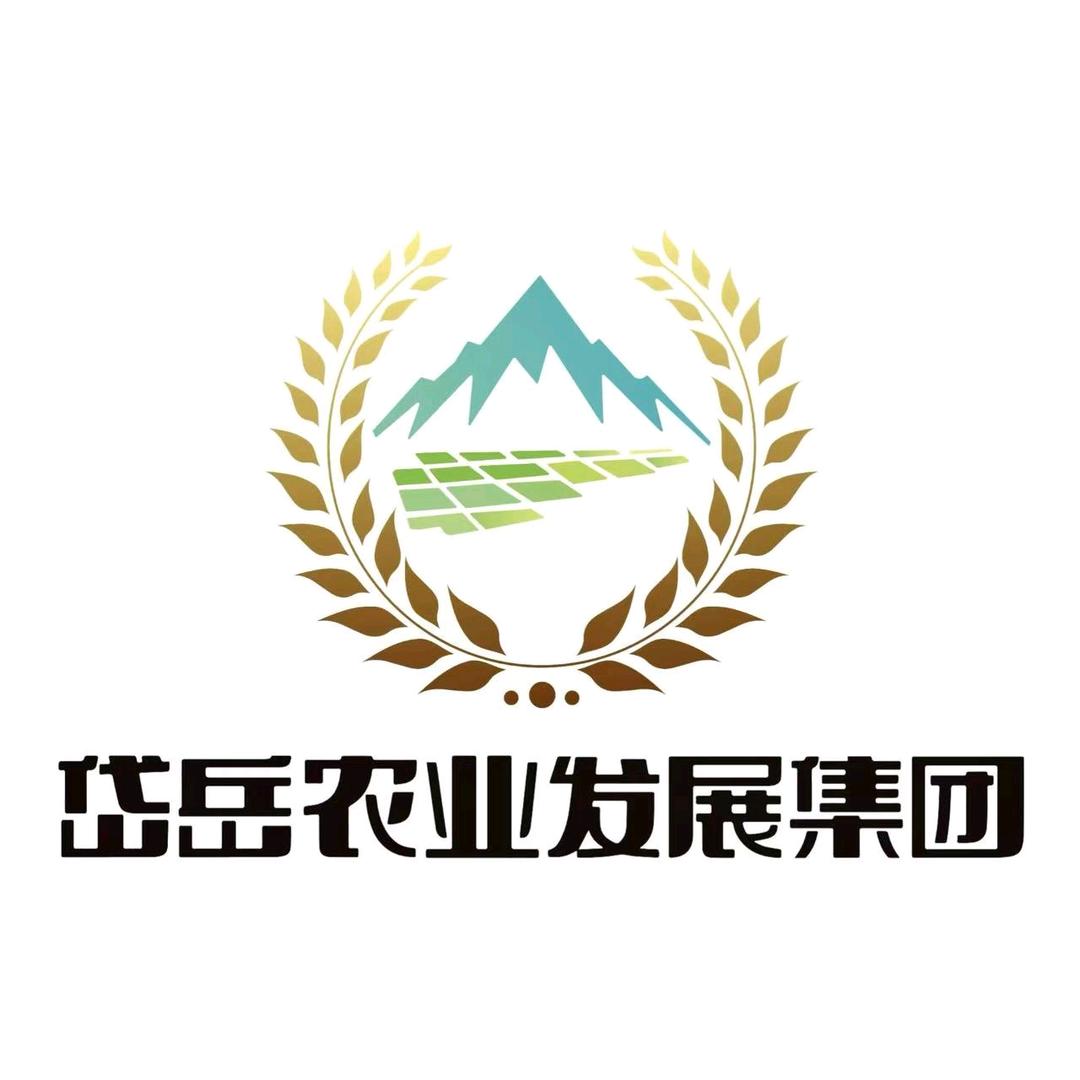 岱岳农业发展集团