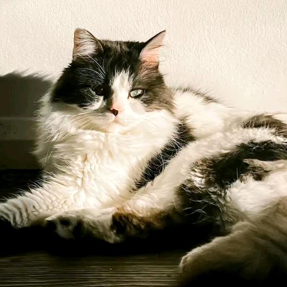 Leonard~-~