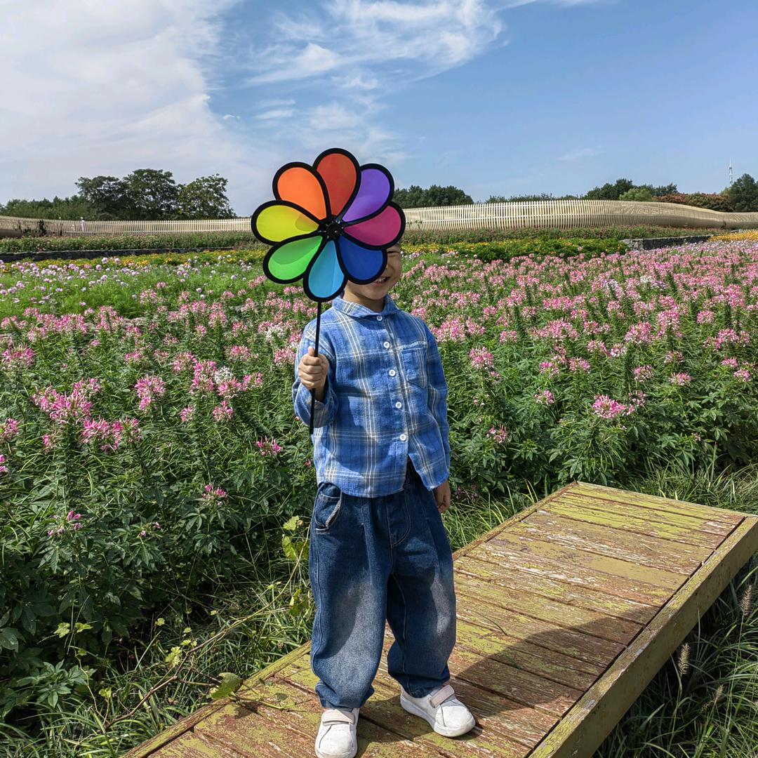 汧苒（qian ran）