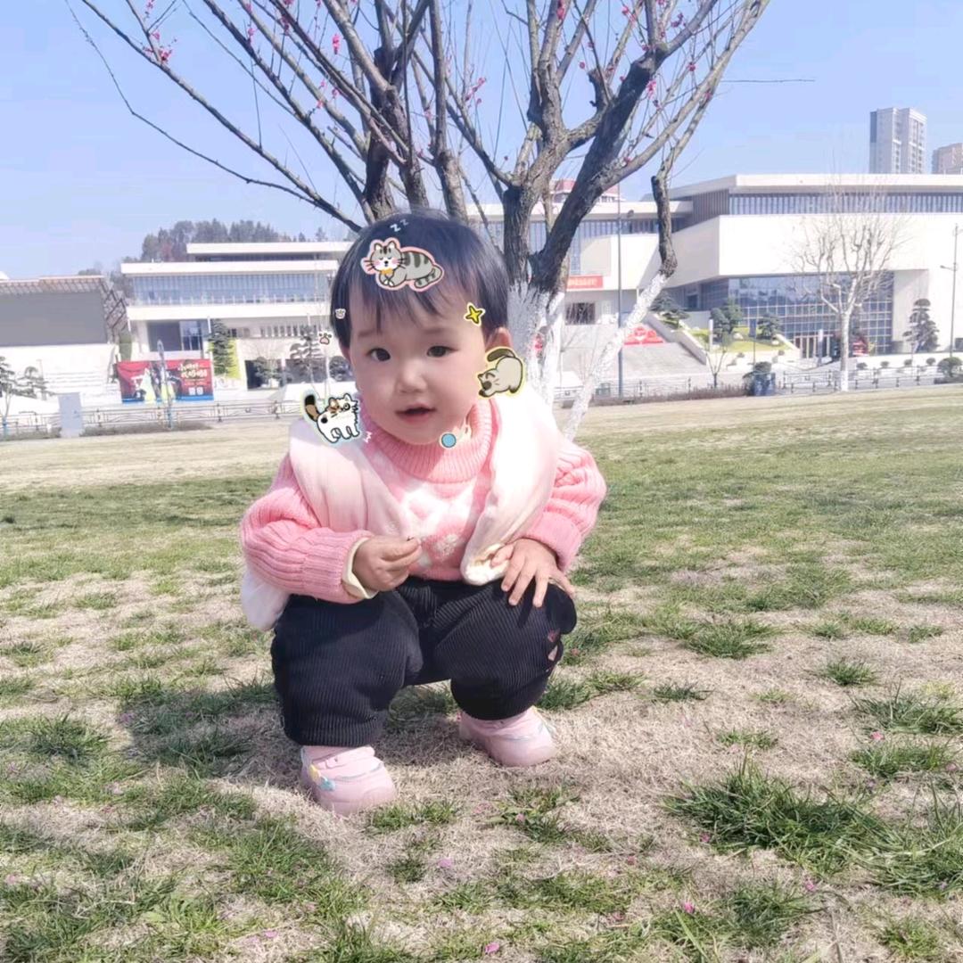 龙锅锅