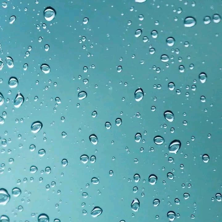 癞蛤蟆追青蛙长得丑玩得花