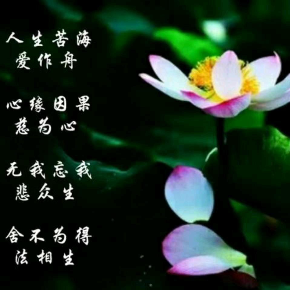 弘扬佛法