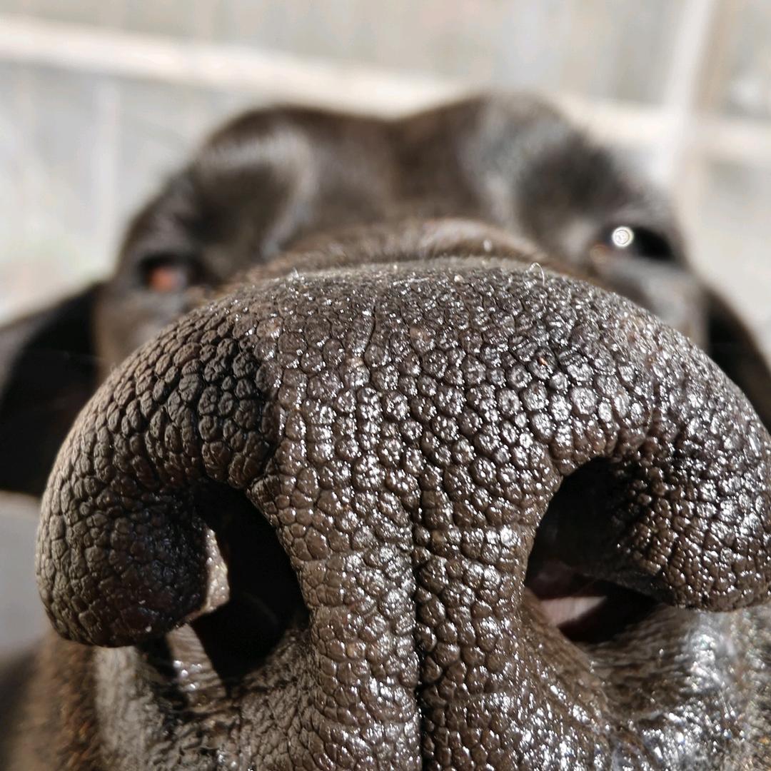 感谢纯路人送的三个跑车，感谢纯路人