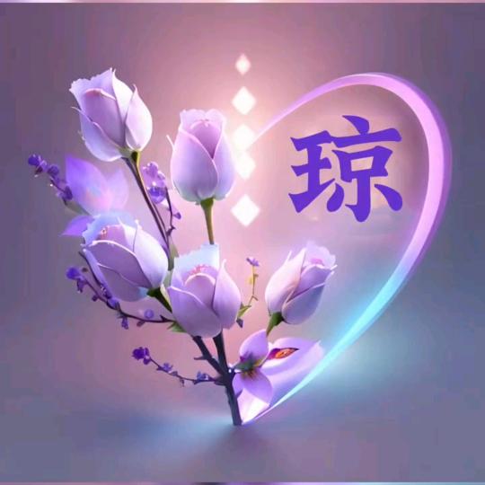 阳光的琼琼儿