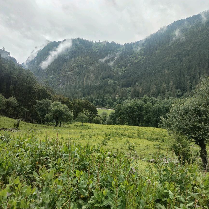 俄亚二村，克若