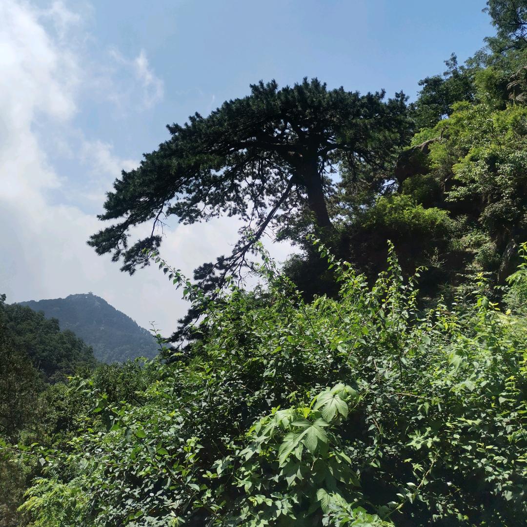 滨州耀刚金属制品