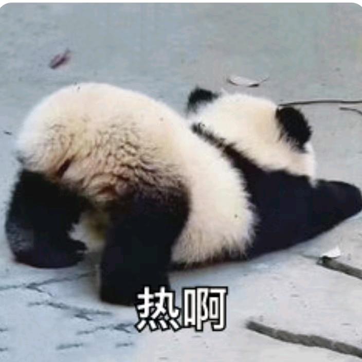 专揍丽丽子