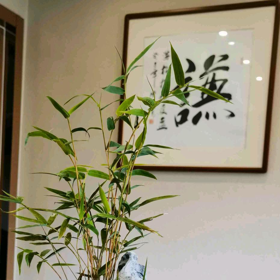 我心升阳