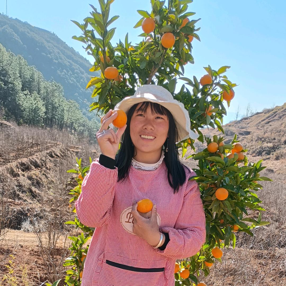 燕子爱山歌