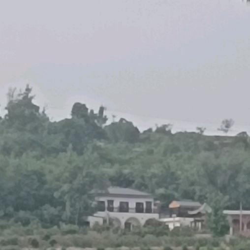 一生有你