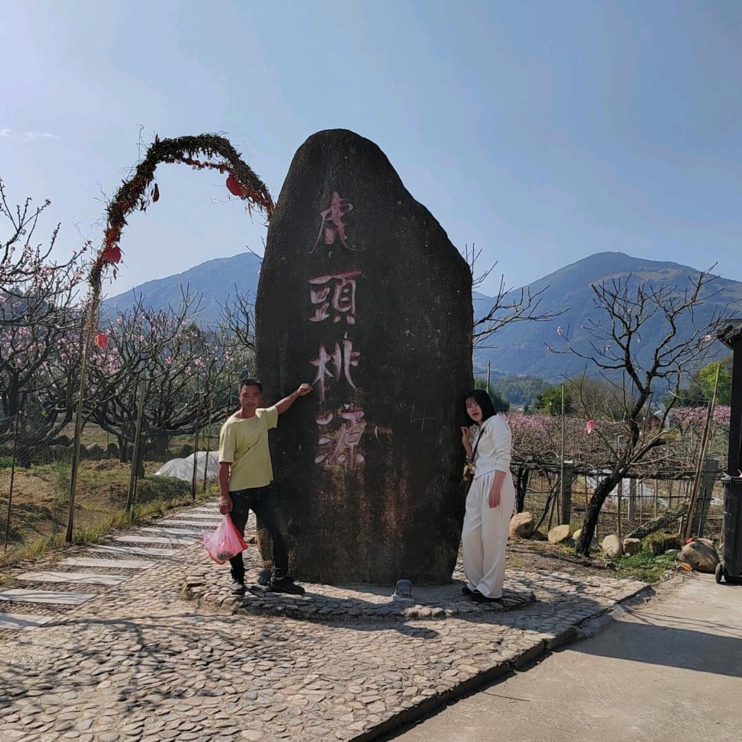 福安山地葡萄