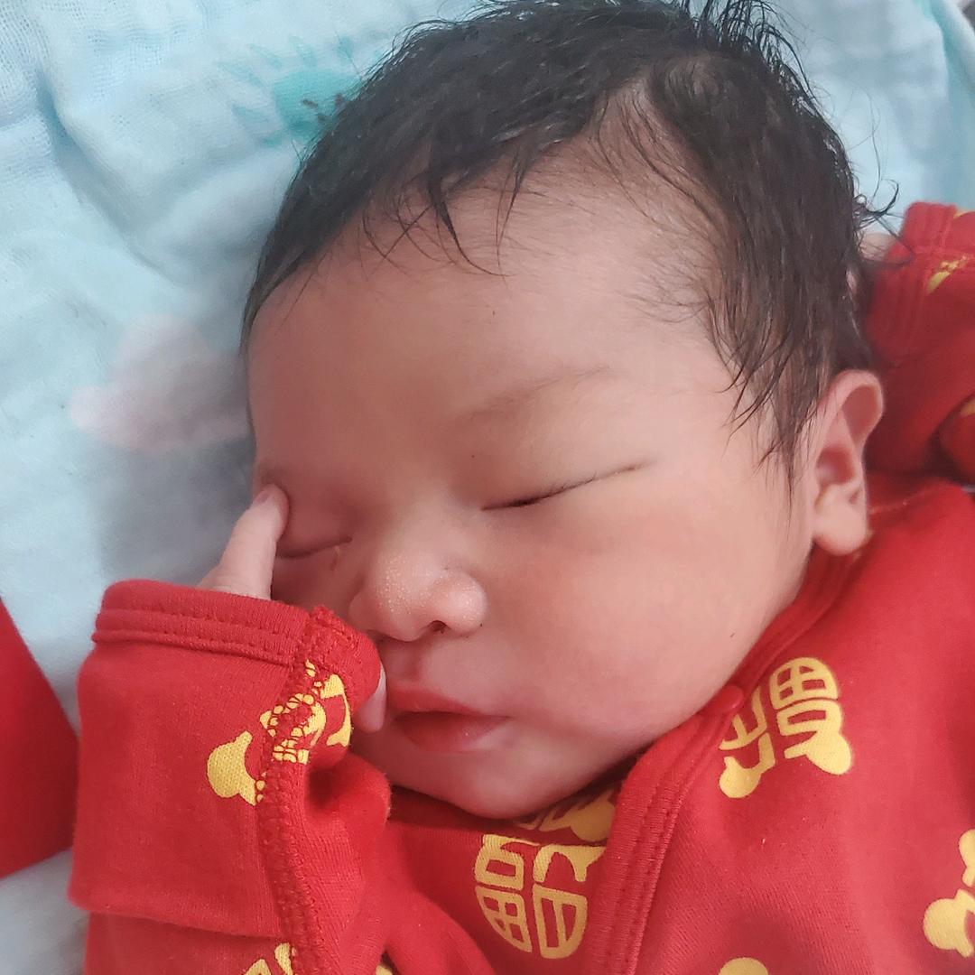 炒股养娃