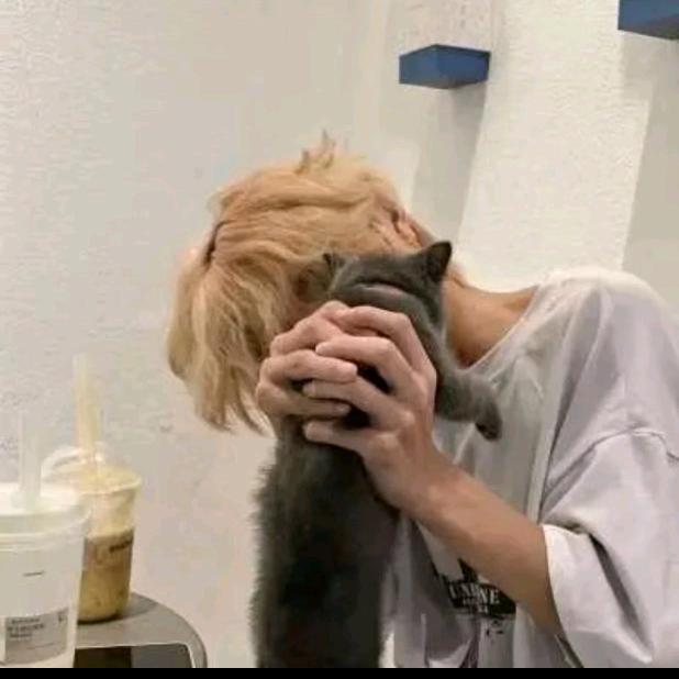 🐅⁰⁵.₀₆陈℘࿐